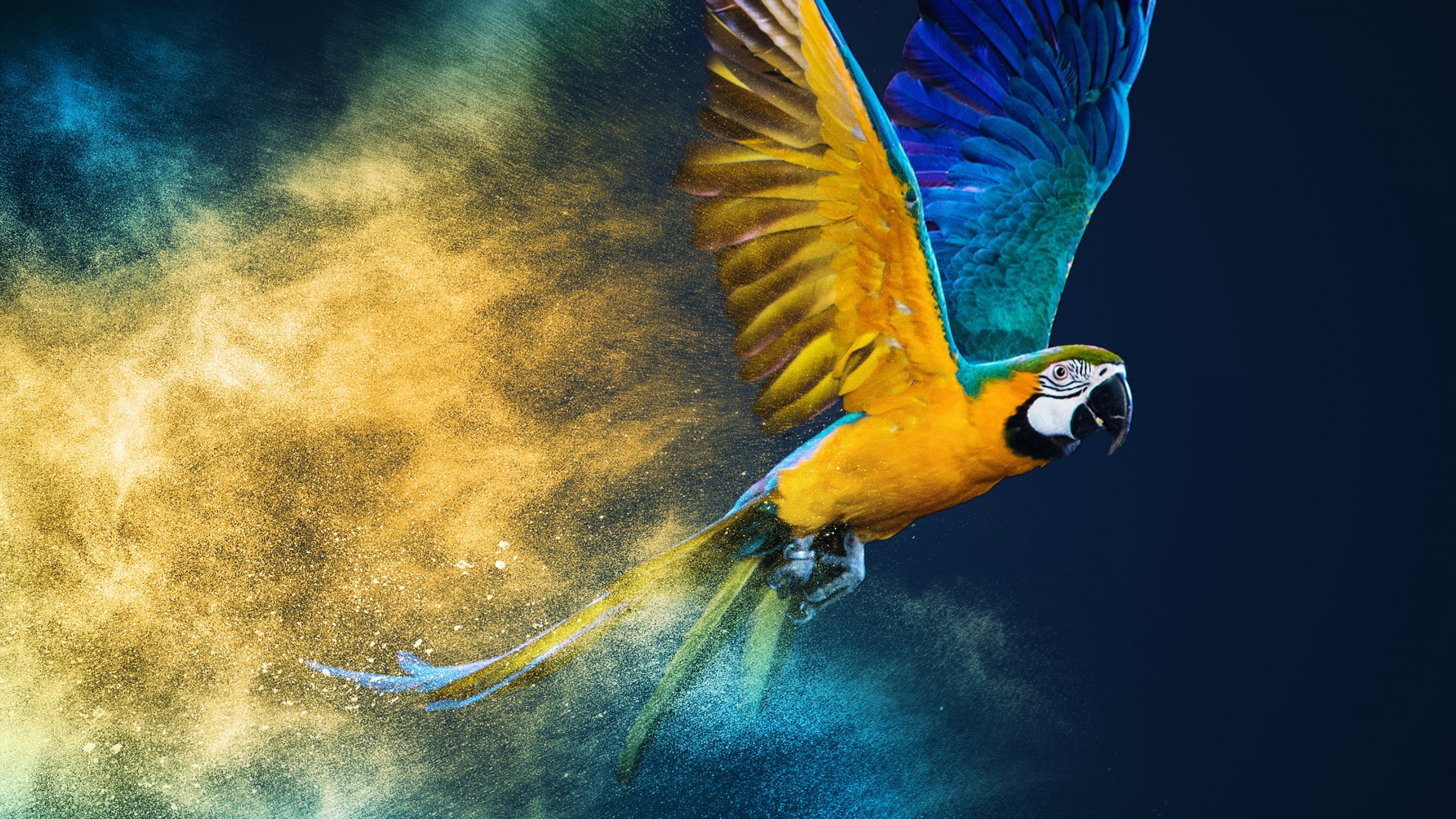 A vibrant Blue-and-yellow macaw set against a bright, colorful background with artistic color bursts.