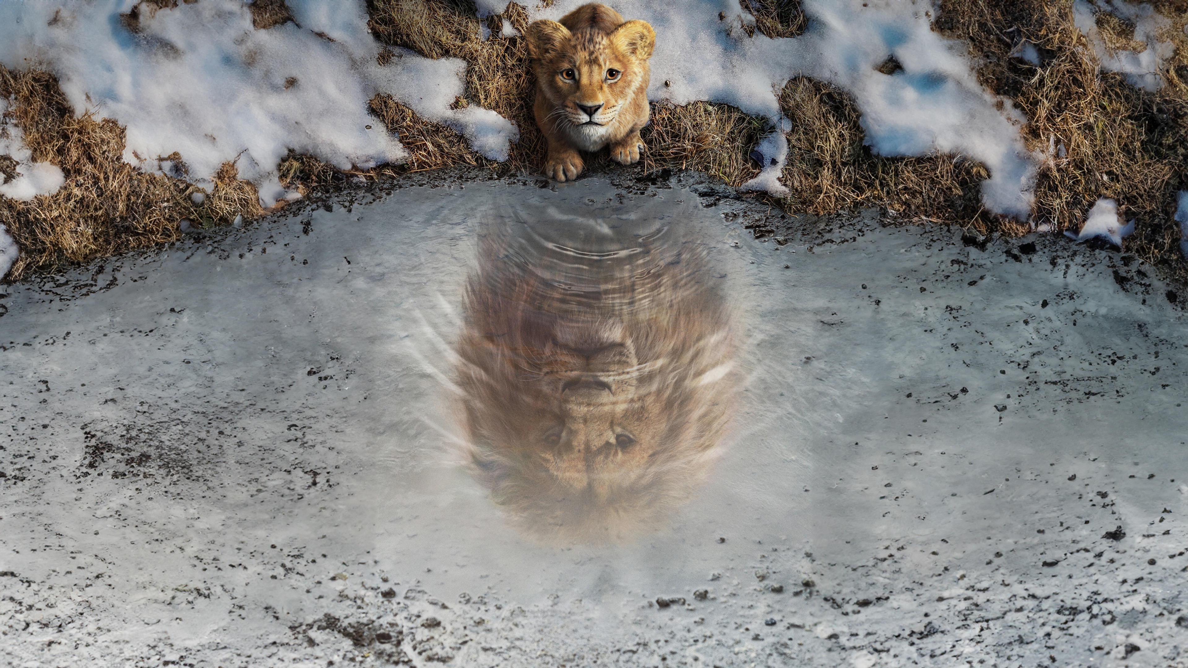 A detailed and cinematic close-up portrait of Mufasa the lion from The Lion King.