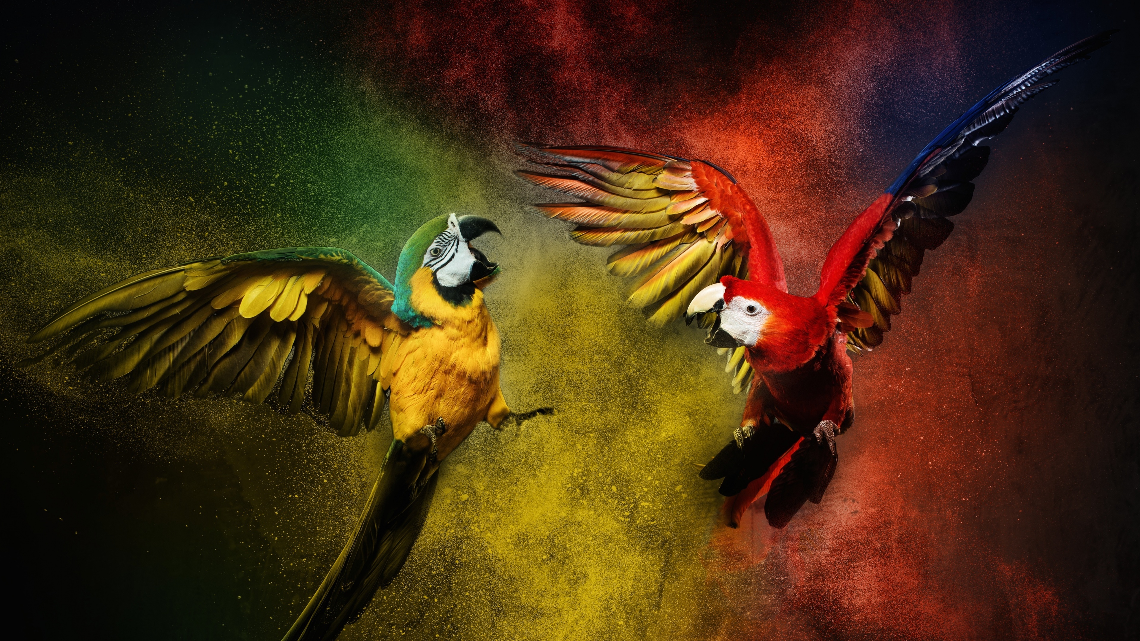 A Blue-and-yellow macaw and a Scarlet macaw amidst a colorful burst of vibrant tropical colors.