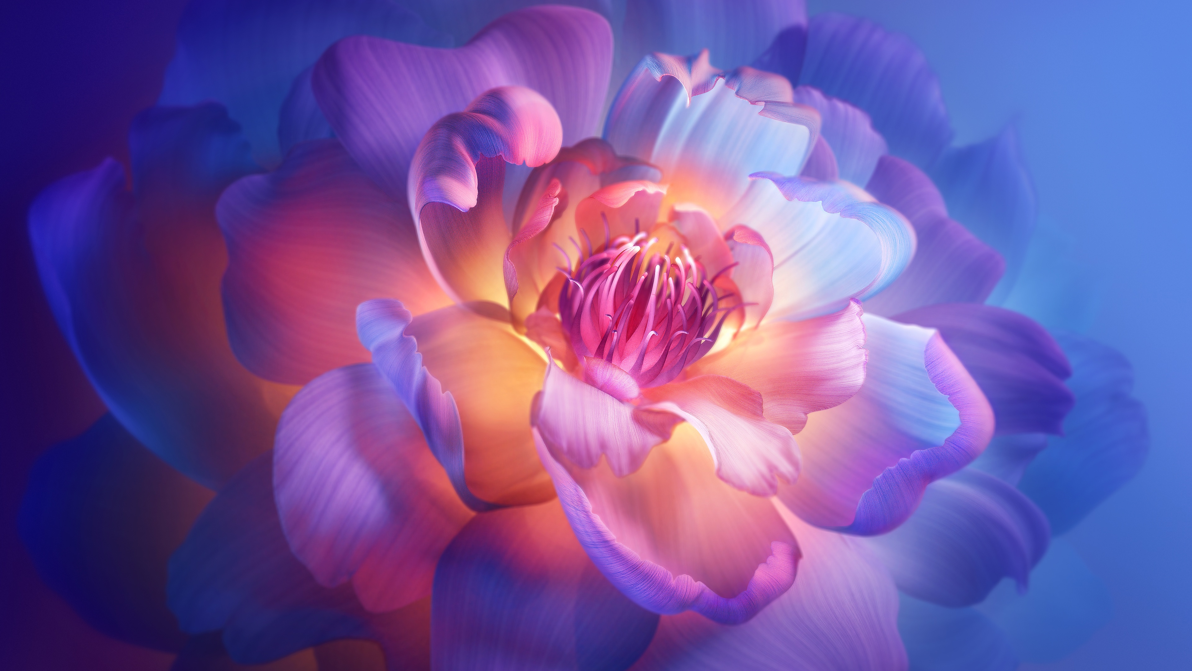 A beautiful close-up of blooming purple peony flowers with a soft, aesthetic purple floral background.