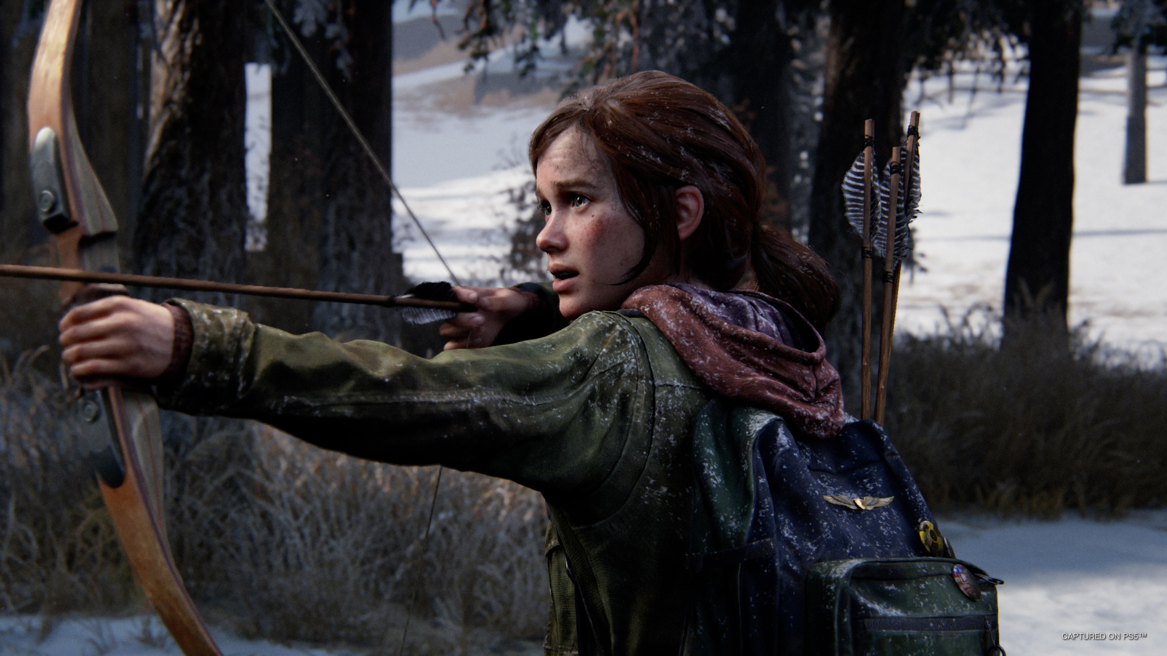 A close-up gameplay screenshot of Ellie Williams from The Last of Us looking through a survivalist lens.