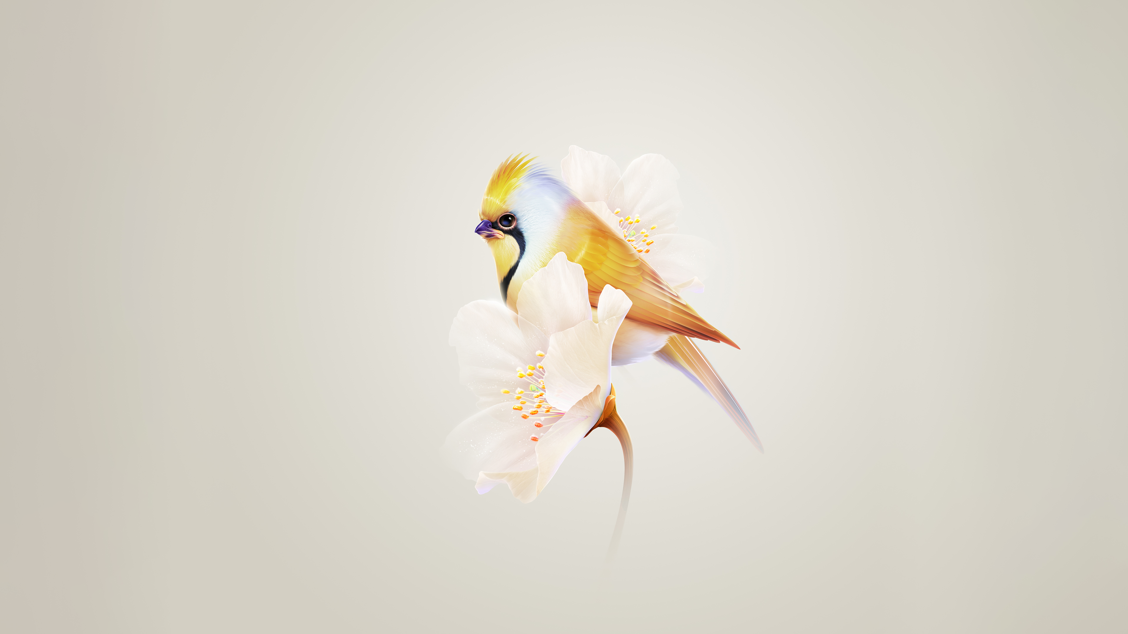 Close-up of a hummingbird hovering near a white flower with a bright yellow aesthetic.