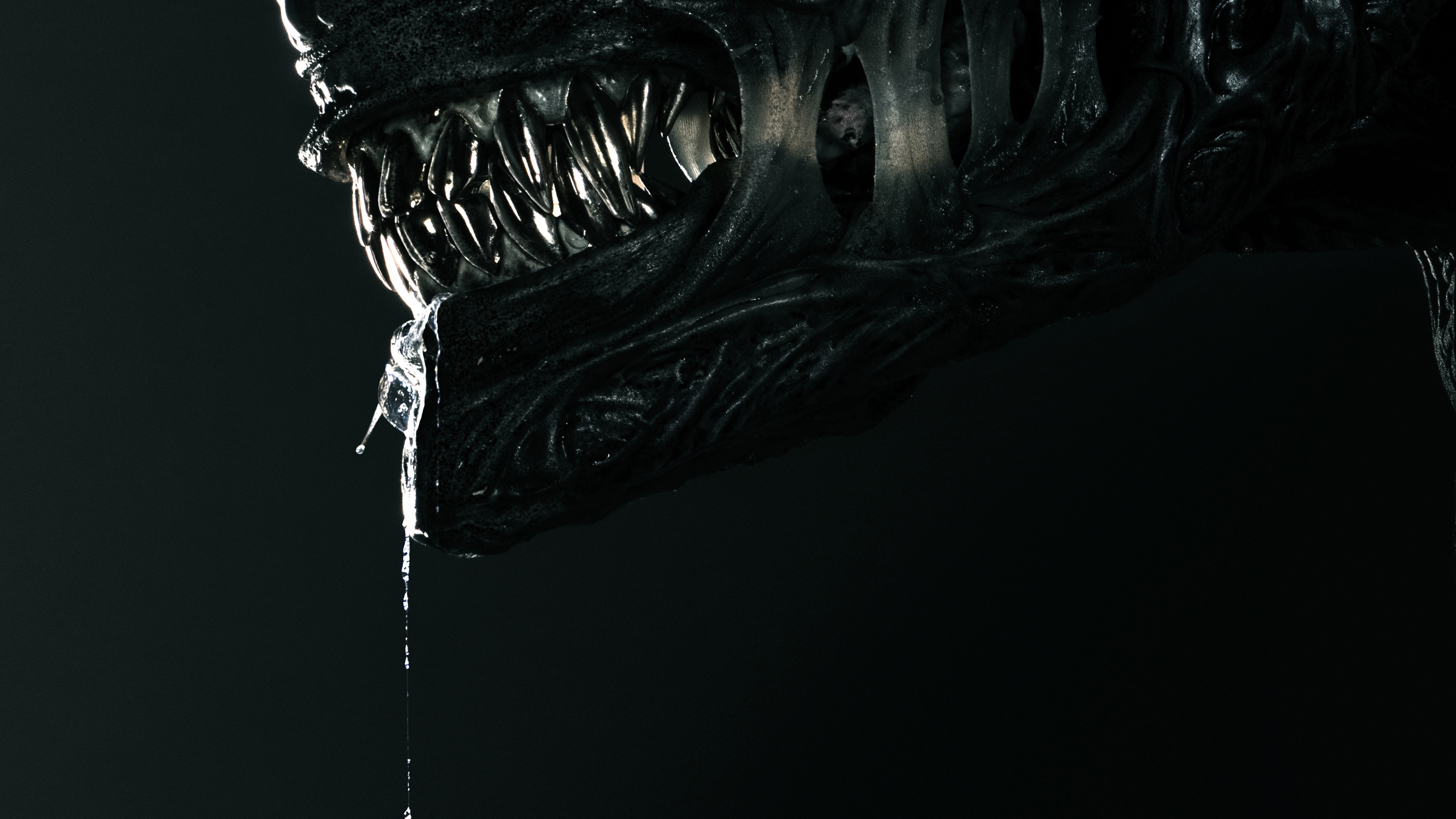 A detailed close-up of the Xenomorph from the movie Alien: Romulus, showcasing its signature elongated head and predatory features.