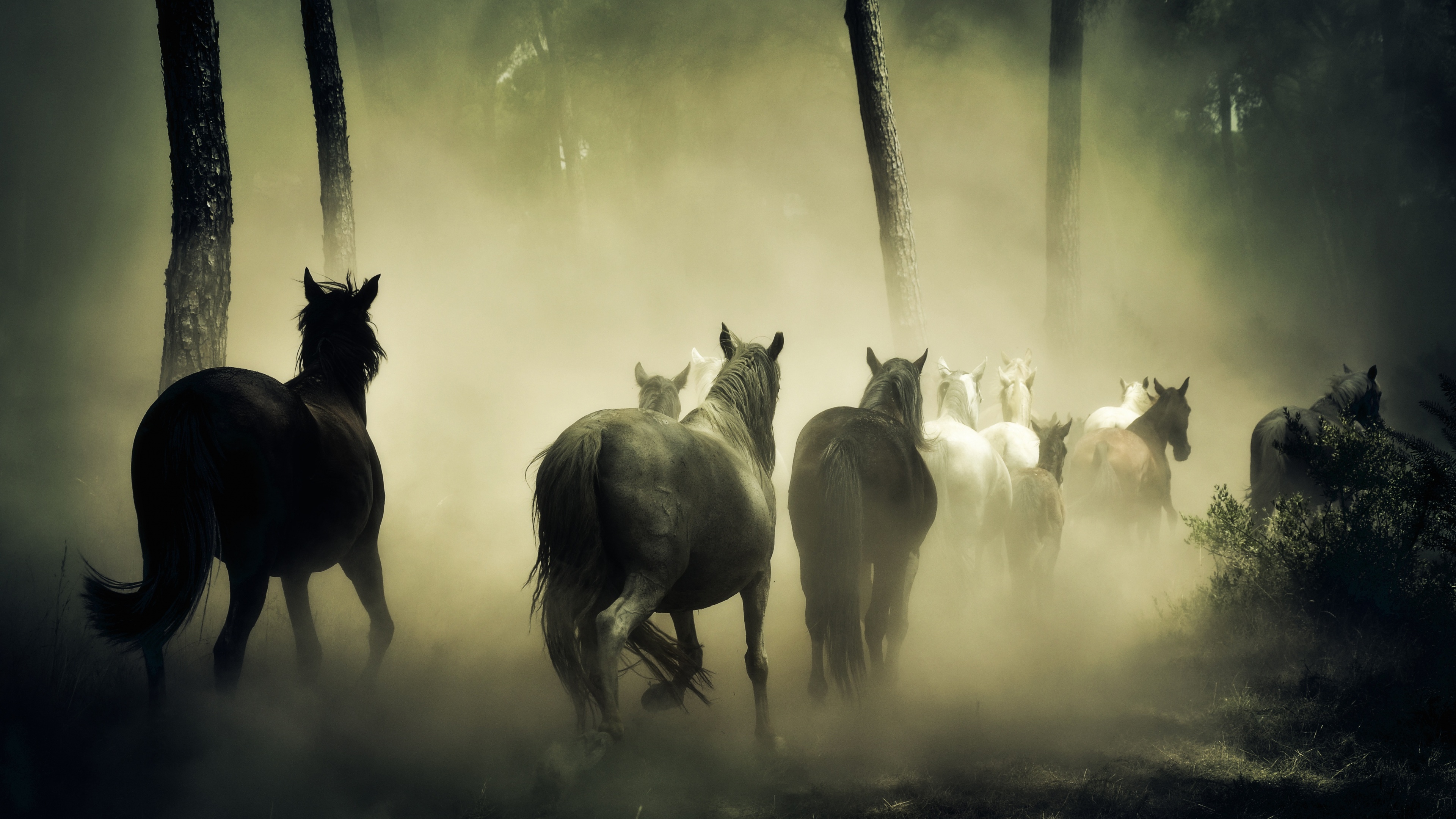 A large group of horses running together across a wide, scenic meadow under a dramatic sky.