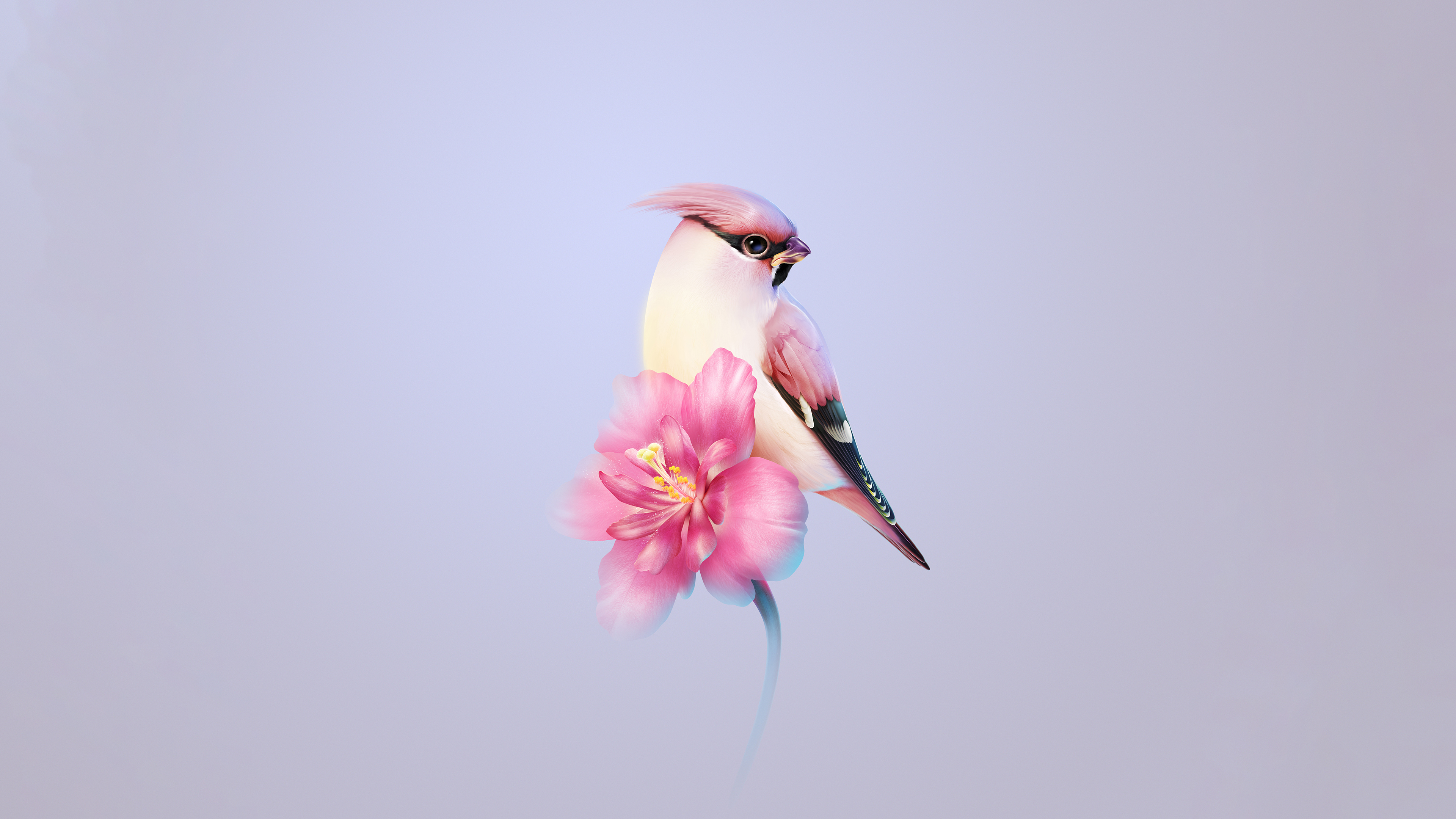 A Bohemian waxwing bird nestled near a blooming pink flower and a Huawei Mate X3 foldable smartphone in a natural setting.