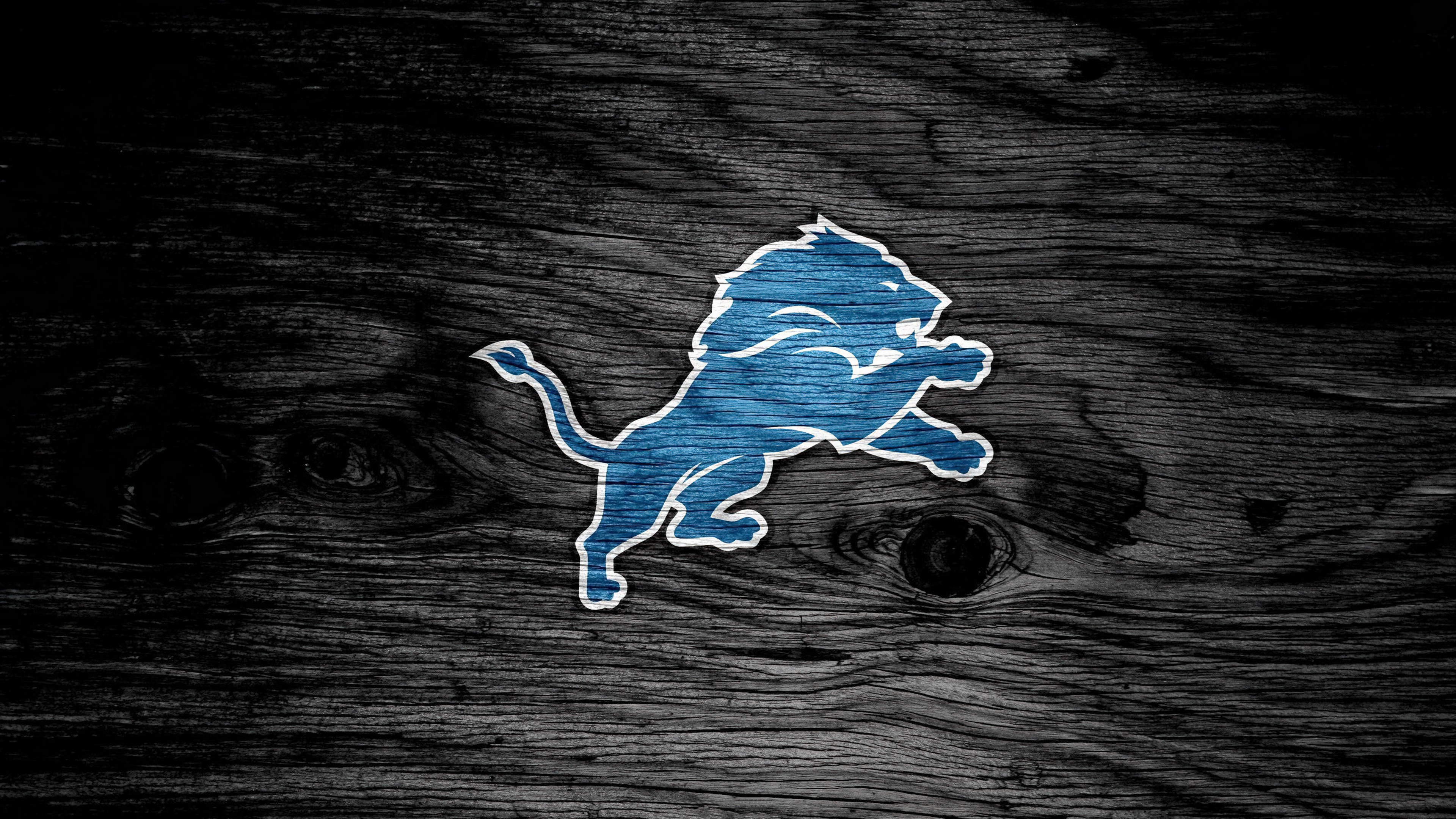 A high-resolution, cinematic depiction of the Detroit Lions American football team branding against a dark, moody background.