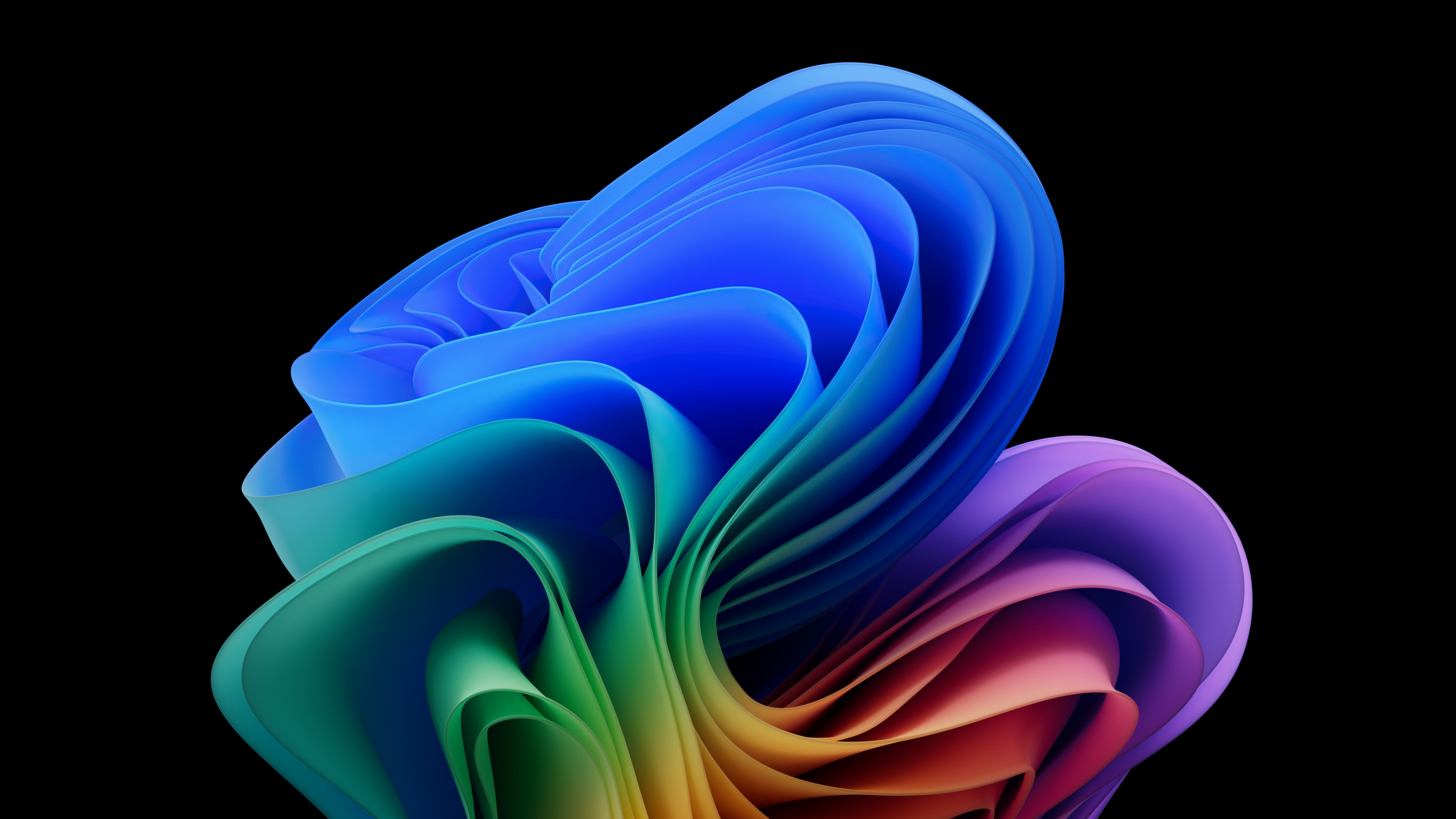 Colorful abstract bloom shapes with glowing multi-colored gradients on a solid black background.