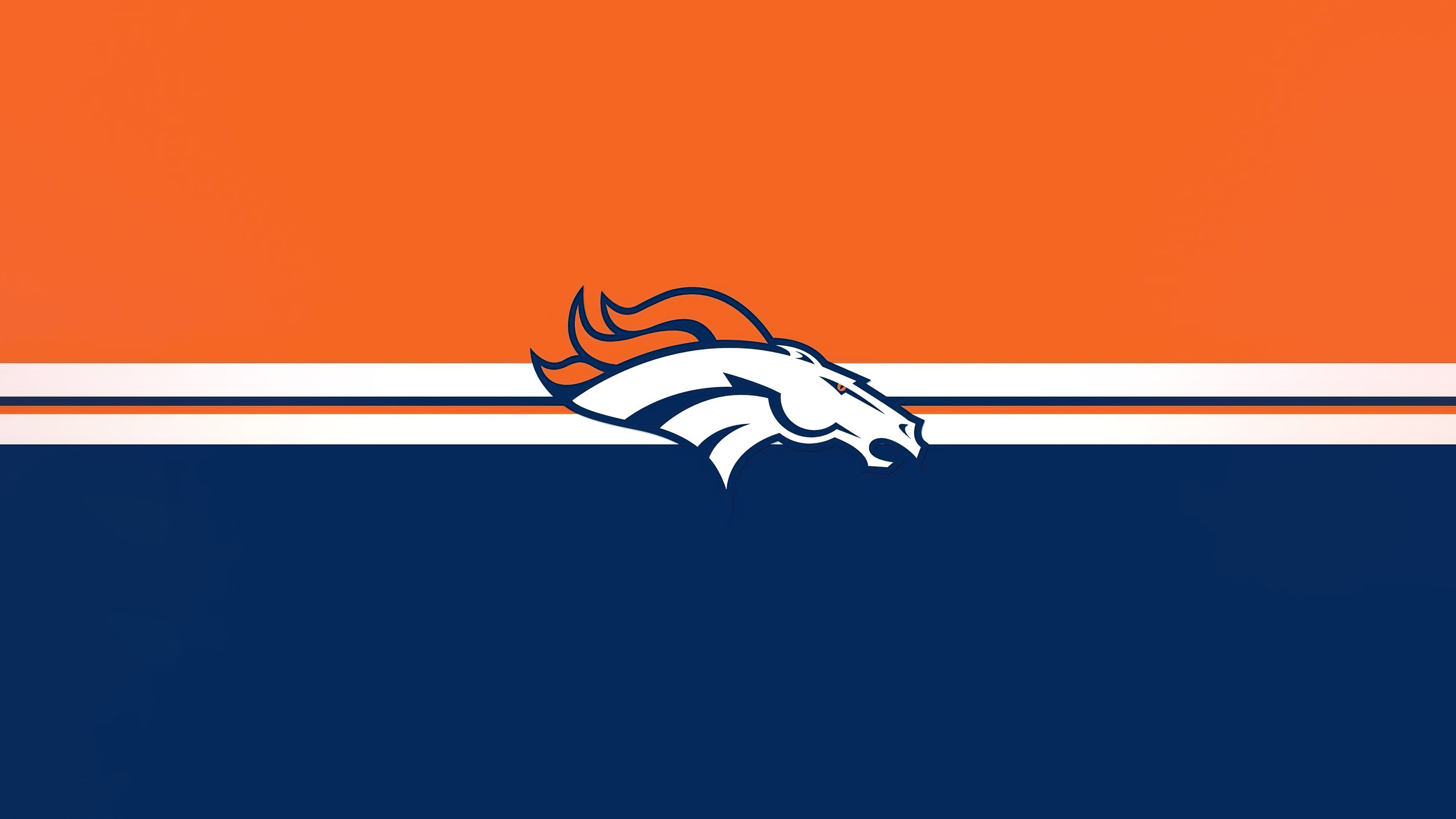 Miles the Bronco, the official mascot for the Denver Broncos NFL team