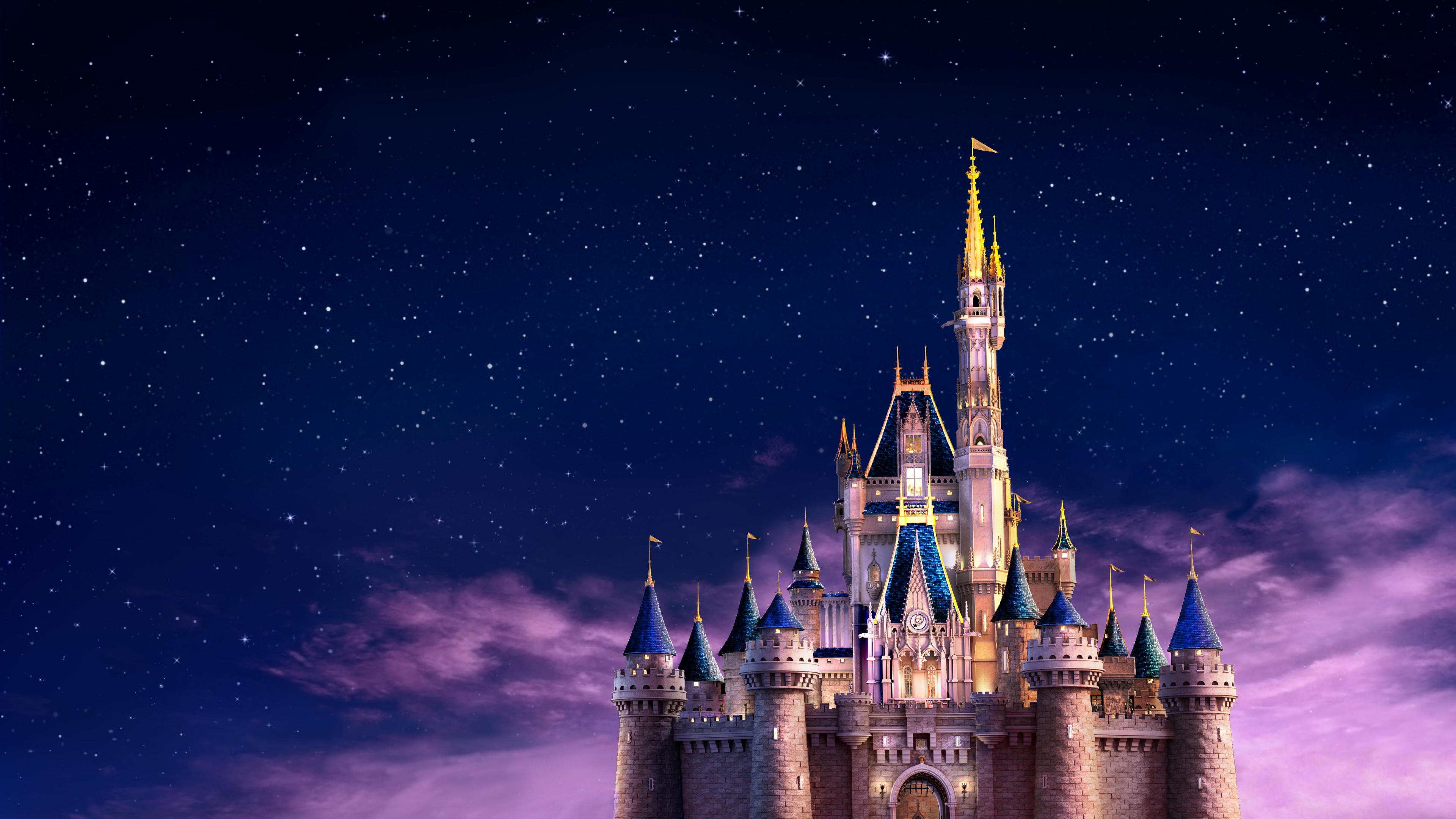 A wide view of Bay Lake in Walt Disney World, Florida, featuring a brilliant starry night sky over the theme park landscape.