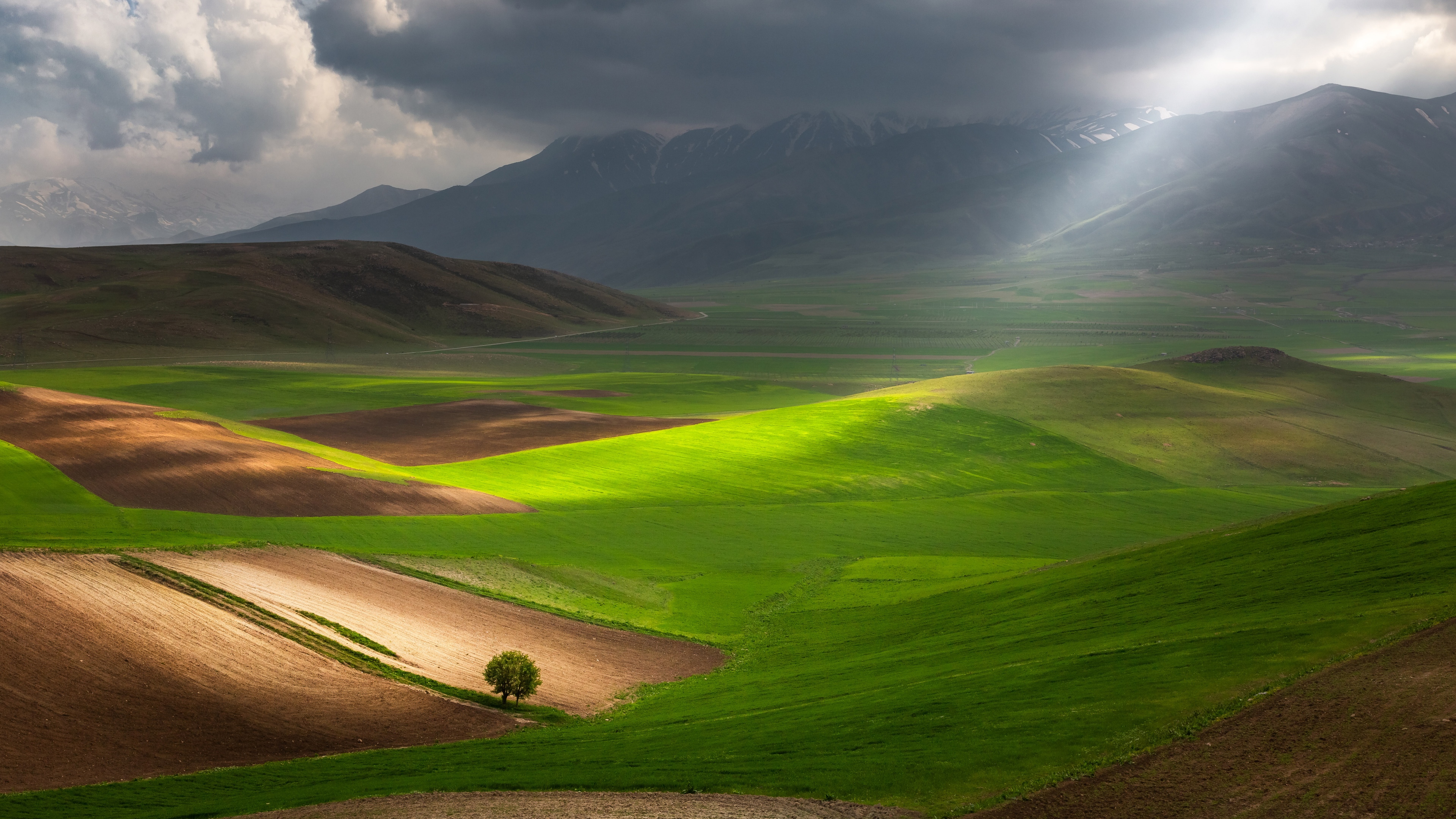 A solitary tree in a vibrant green landscape with rolling hills, mountains, and dramatic sunbeams breaking through stormy clouds in Italy.