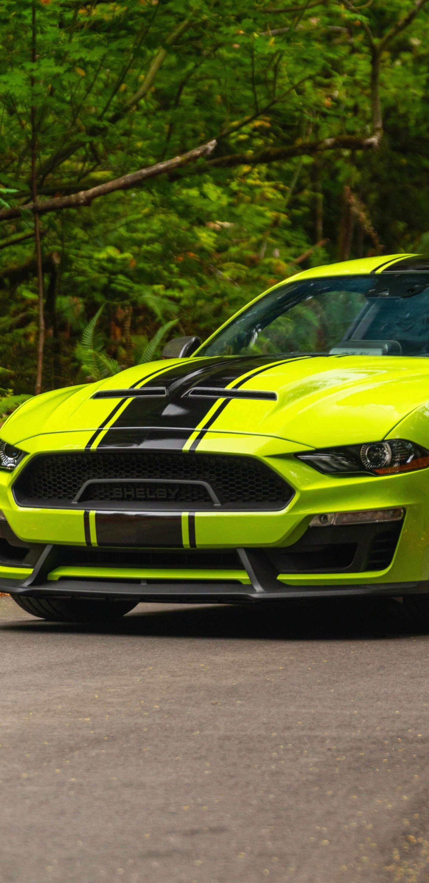 A high-resolution, close-up shot of a Ford Mustang showcasing its sleek design and metallic finish.