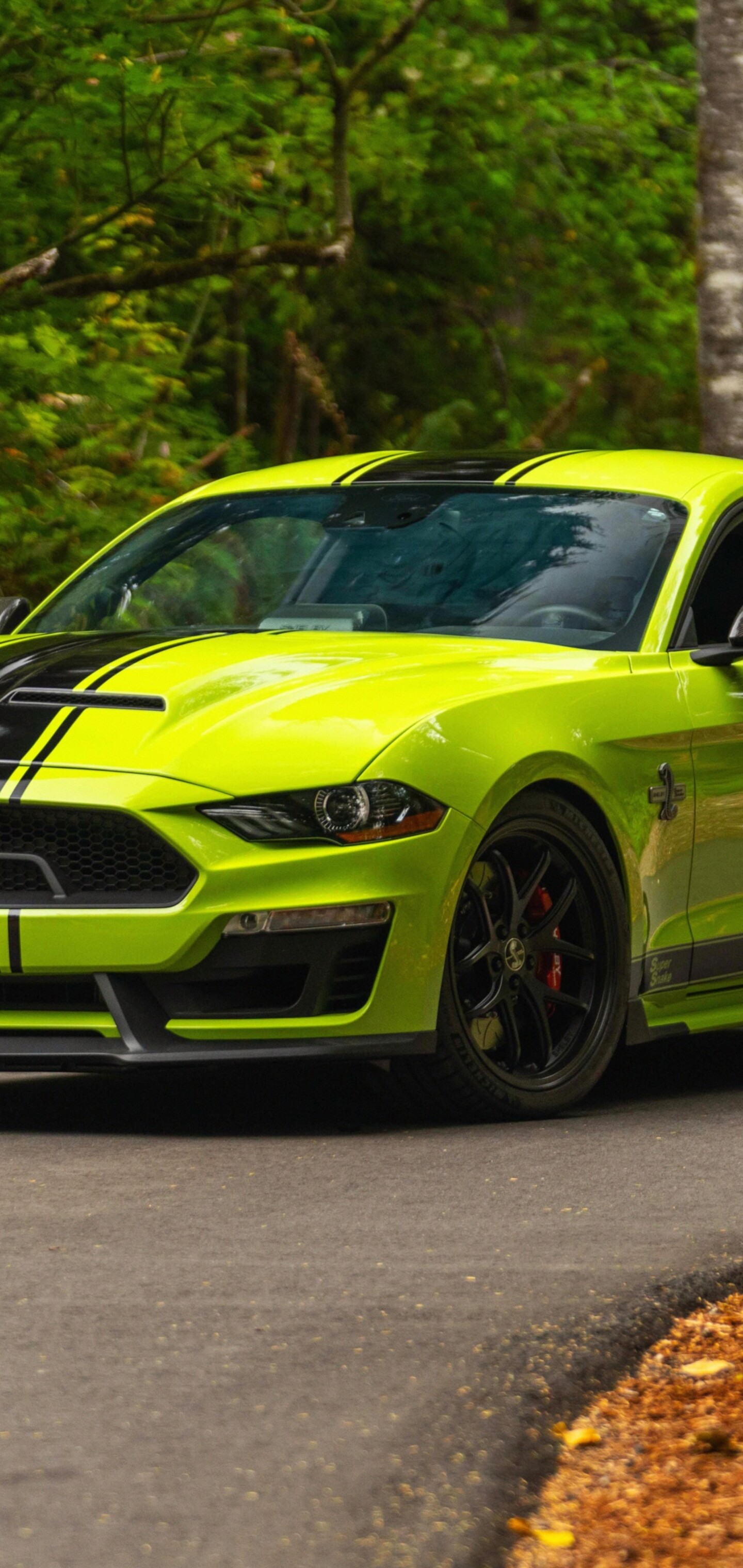A high-resolution, cinematic view of a classic Ford Mustang automobile.